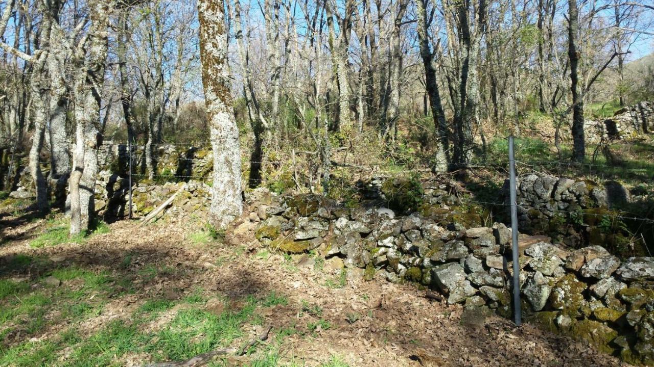 Apartamento Orgaz Candelario Luaran gambar